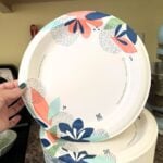 dixie paper plates (2)