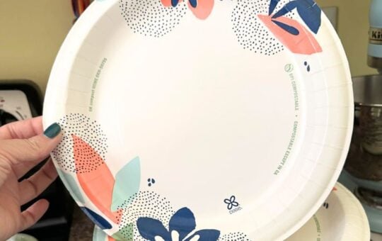 dixie paper plates (2)