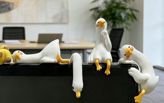 goose decor (3)