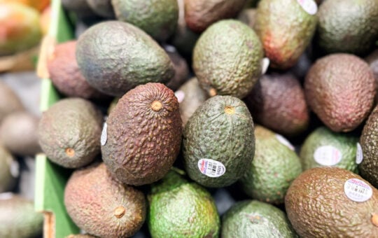 grocery store produce avocados