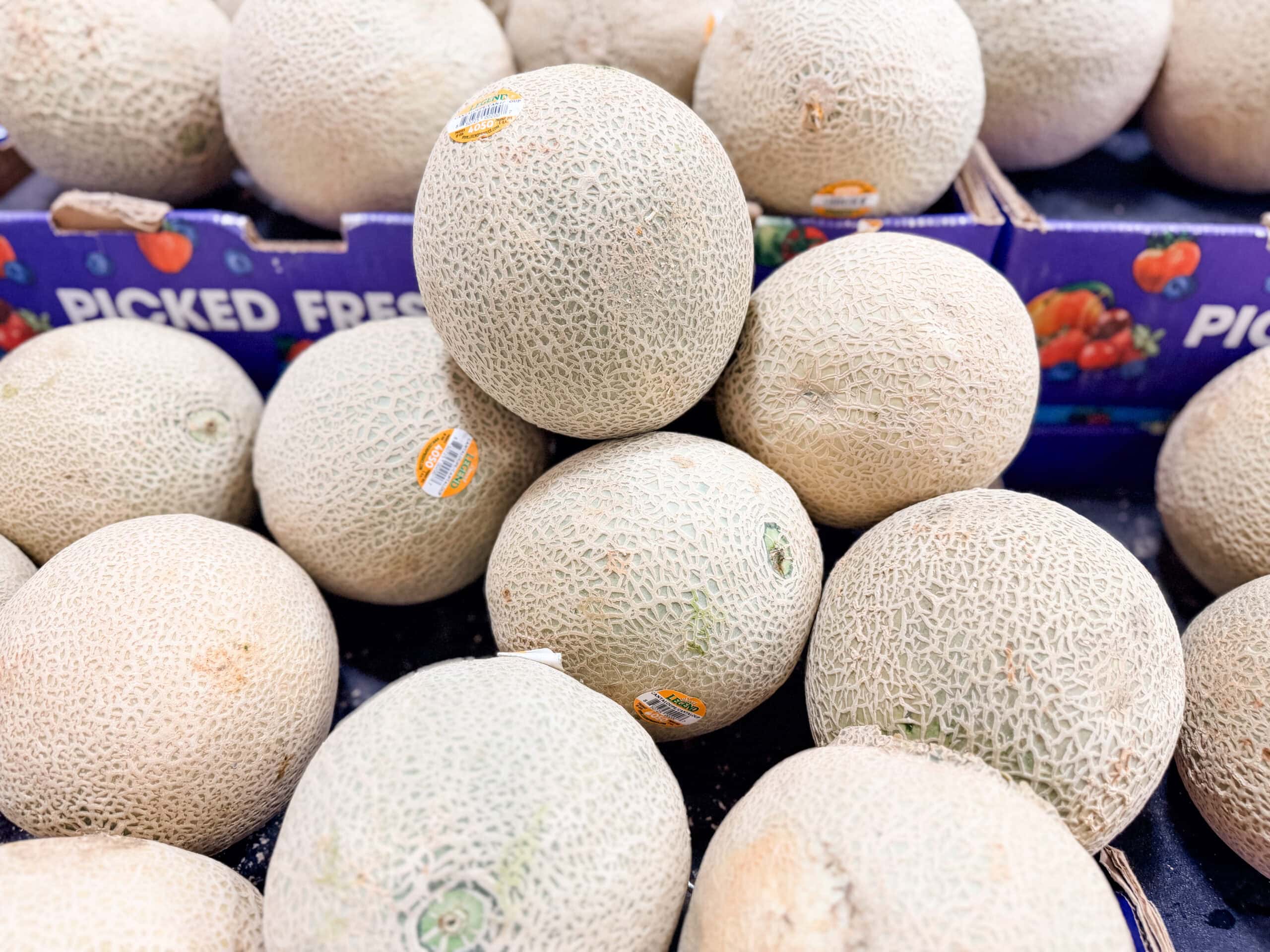 grocery store produce cantaloupes grocery store produce cantaloupes