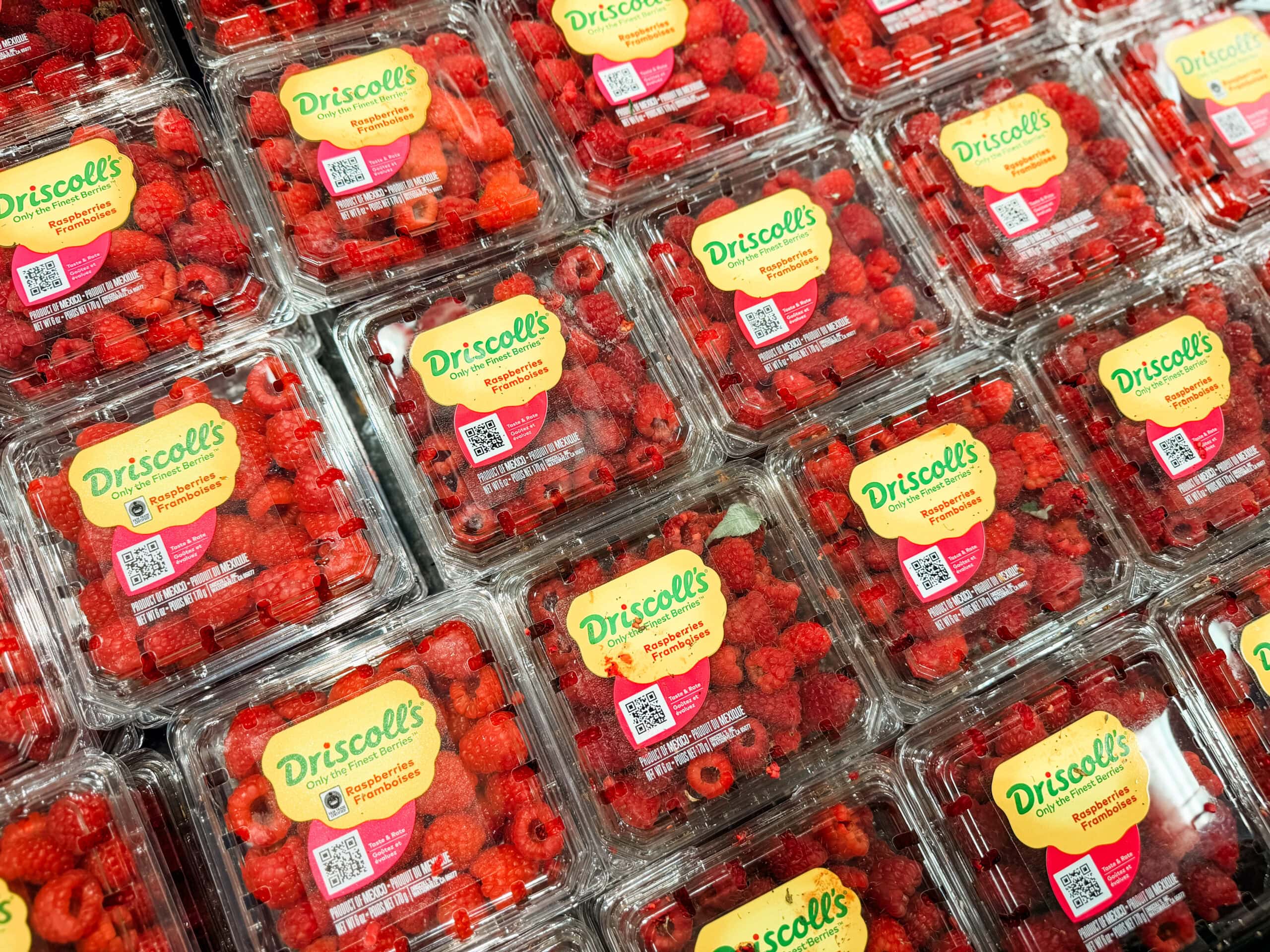 grocery store produce raspberries grocery store produce raspberries