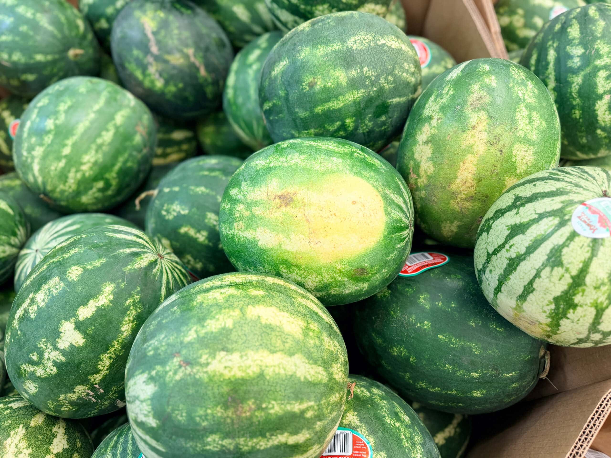grocery store produce watermelon (2) grocery store produce watermelon (2)