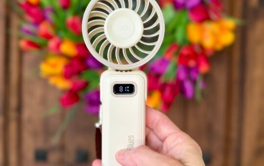 handheld fan