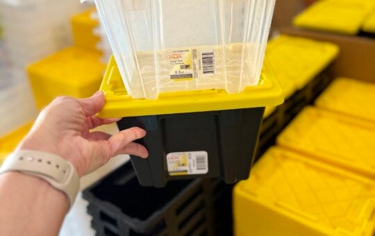 hdx mini totes
