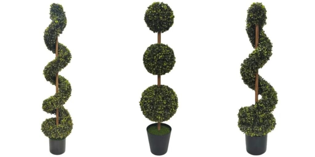 my texas house boxwoods