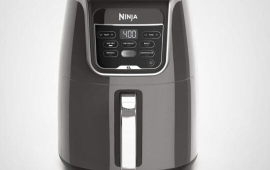 ninja air fryer (2)