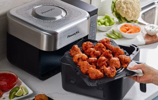 power xl air fryer target