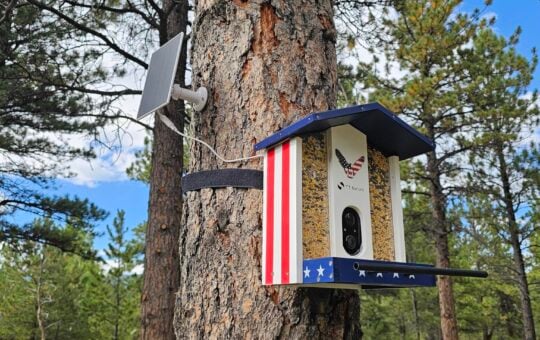 solar bird camera
