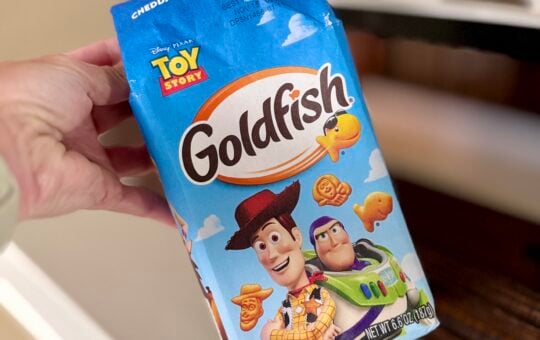 toy story goldfish