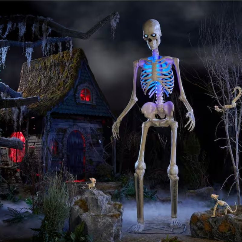 12' skeleton