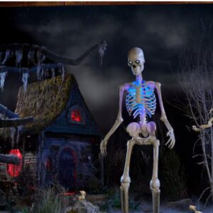 12' skelly