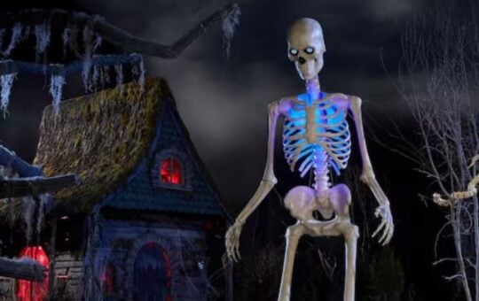 12' skelly