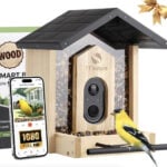 Amazon Bird Feeder