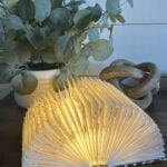 Book Lamp Open