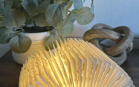 Book Lamp Open
