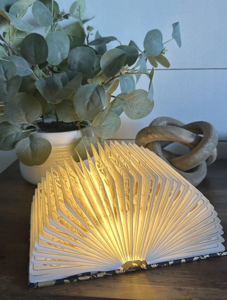 Book Lamp Open