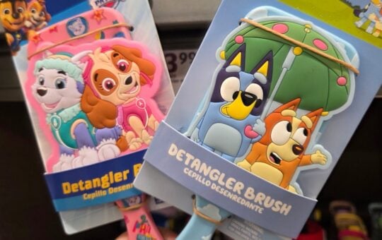 Character Hairbrush 2
