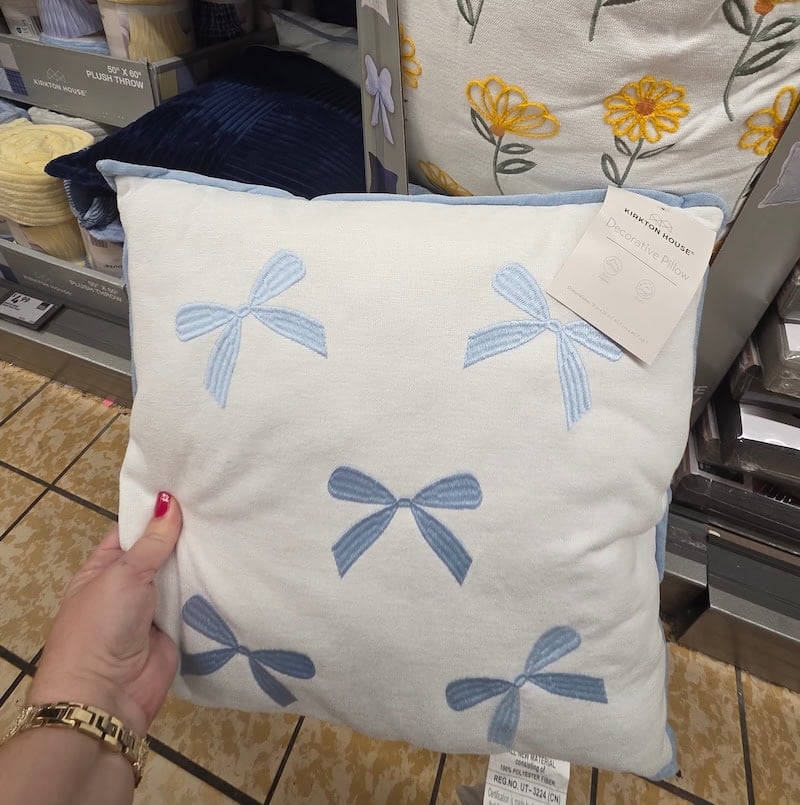 Decorative Pillow 2