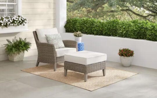 Holly Cove 2 Piece Wicker Outdoor Seating Set with CushionGuard Almond Cushions