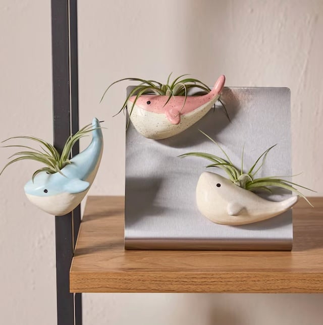 LiveTrends Moby Whale Plants