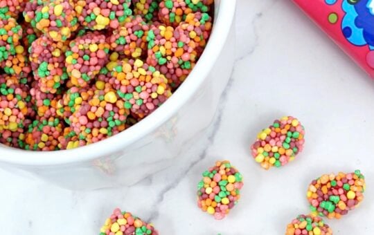 NERDS Gummy Clusters Rainbow Candy