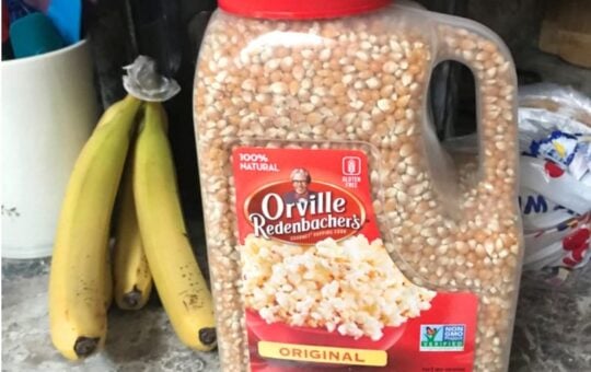 Orville Redenbachers kernels