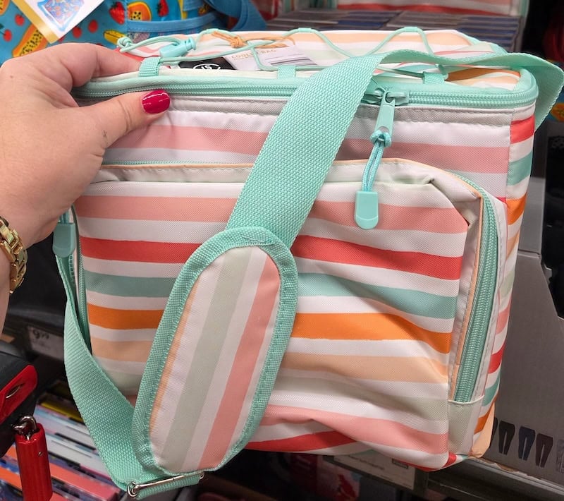 Small Cooler Bag 2