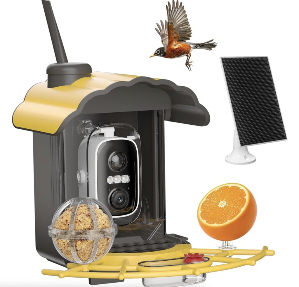 Solar Power Bird Feeder