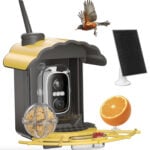 Solar Power Bird Feeder
