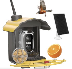 Solar Power Bird Feeder