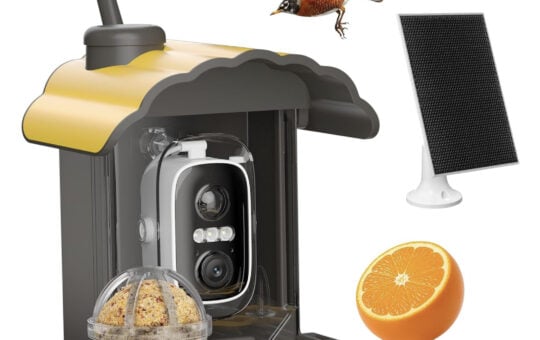 Solar Power Bird Feeder