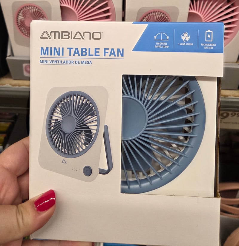 Table Fan 2