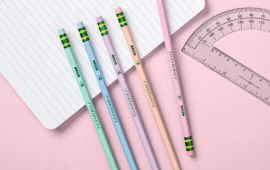 Ticonderoga Wooden Pastel Pencils