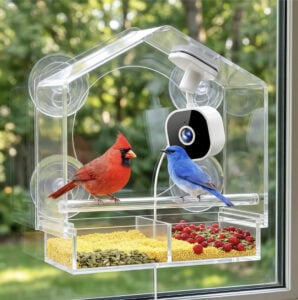 Window Bird Feeder