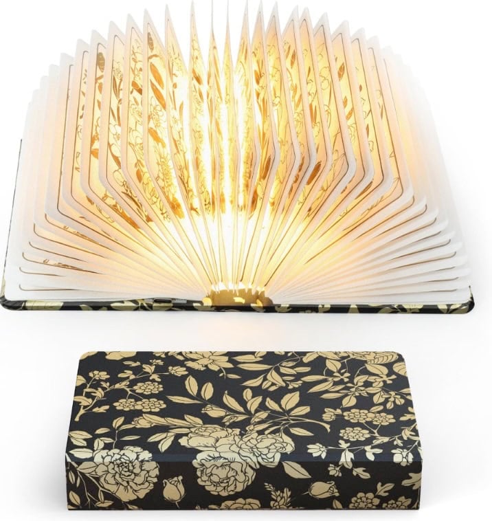 ZBOLE Folding Book Lamp