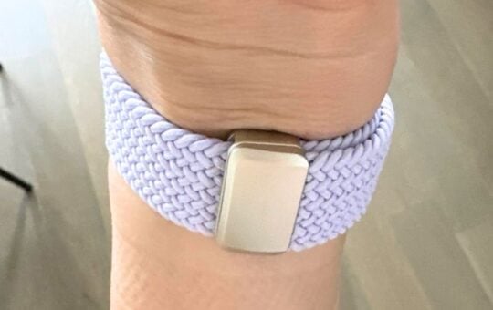 apple compatible watch bands (2)