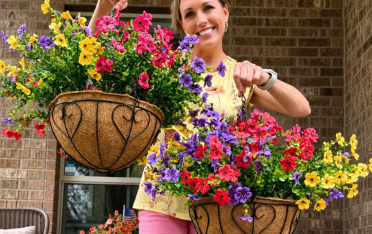 artificial hanging baskets