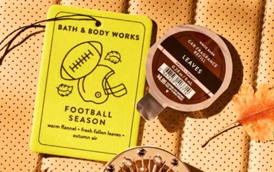 bath body works car fragrance (2)