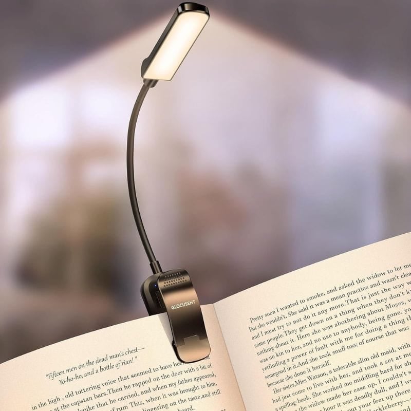 book light (1)
