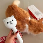 cat groom brush