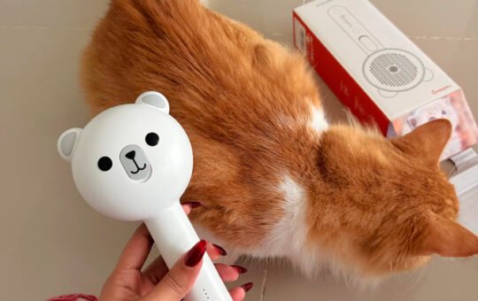 cat groom brush