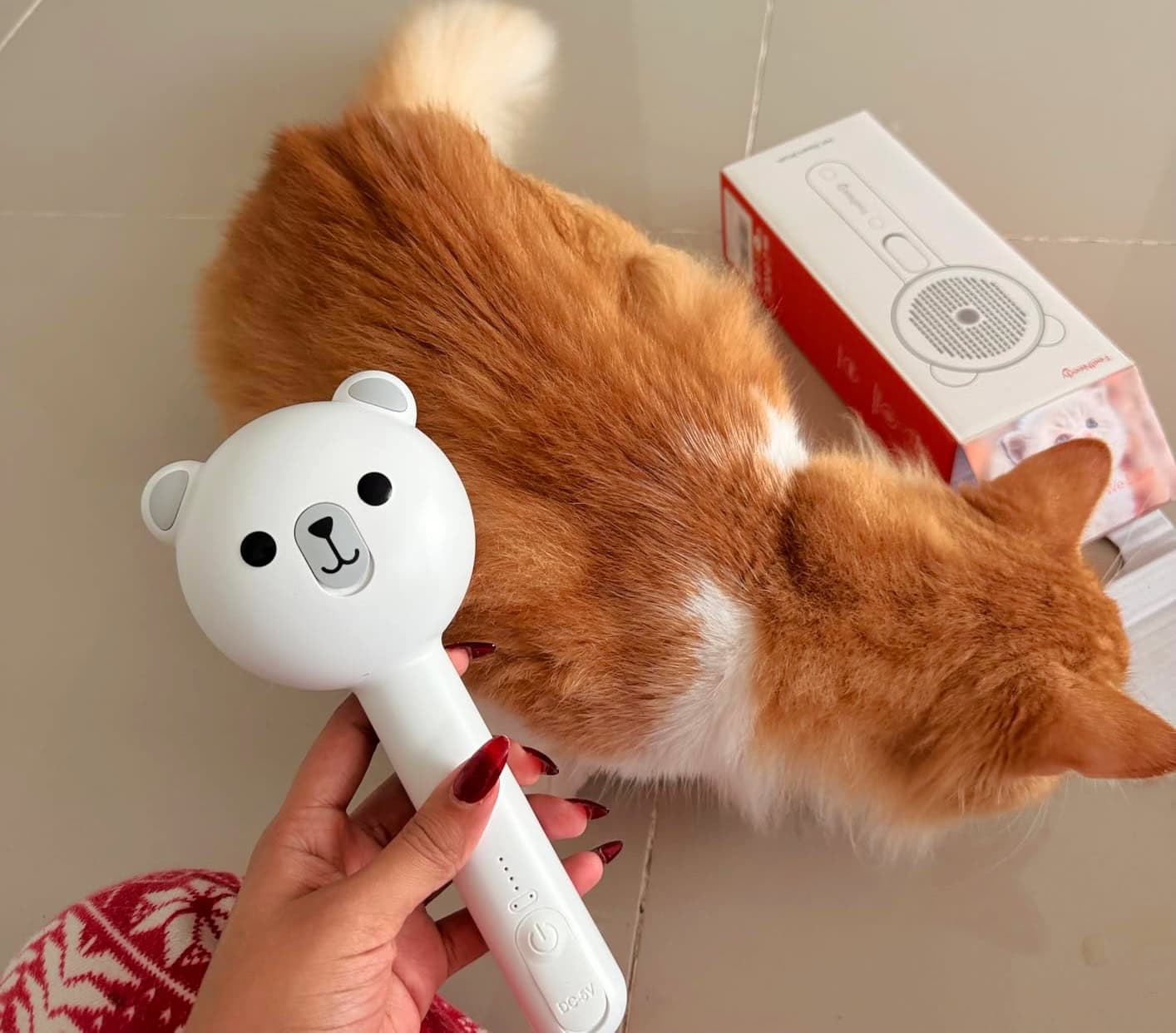 cat groom brush cat groom brush