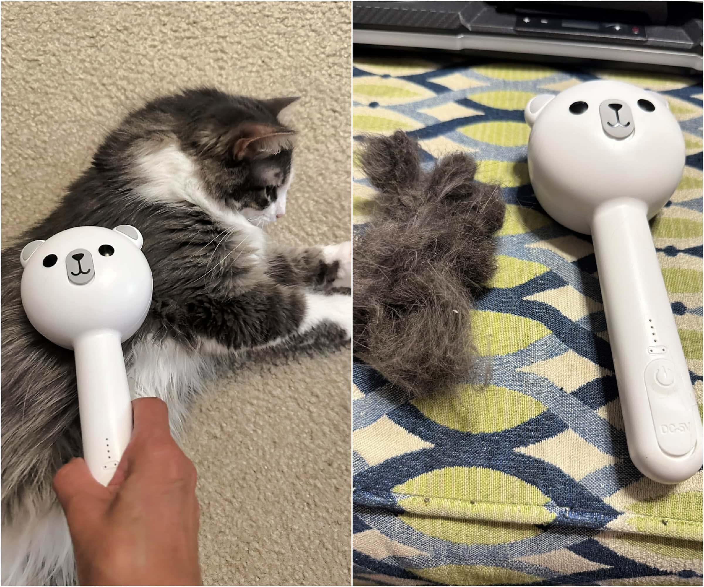cat grooming brush