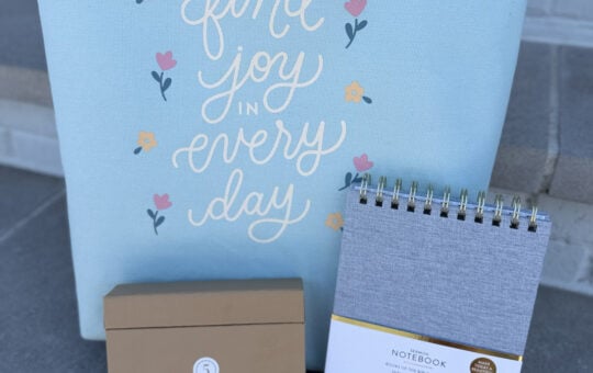 find joy canvas and box
