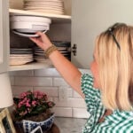 fran paper plate dispenser