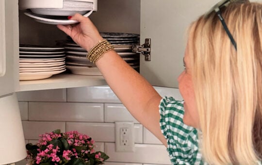 fran paper plate dispenser
