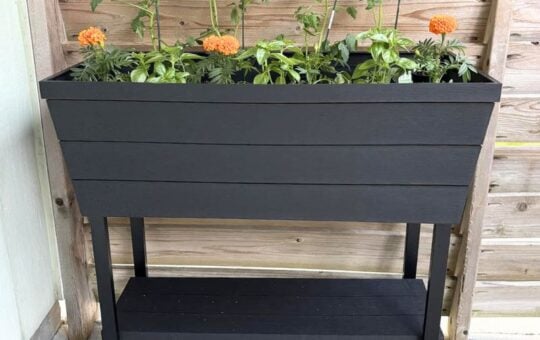 keter raised garden bed (1)