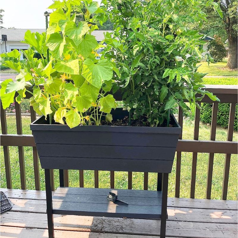 keter raised garden bed