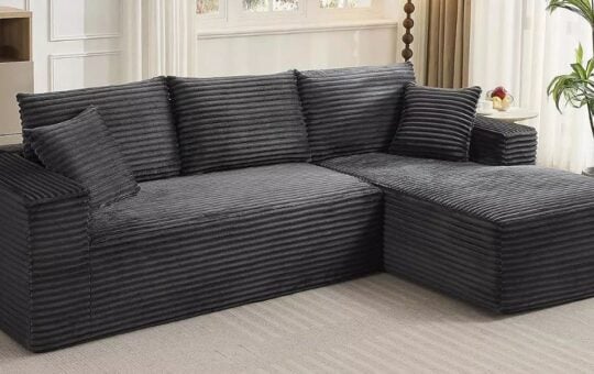 macys couch